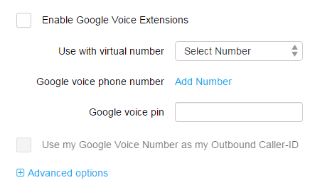 Google Voice interface
